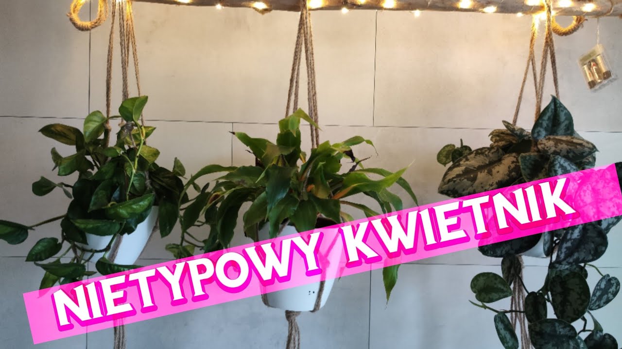Nowe miejsce na rośliny 🙂, super pomysł na kwietnik dla  zwisających roślin i nie tylko 🪴