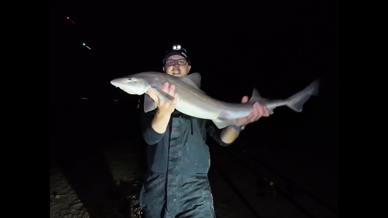 Stingray Hunt at Woodside Beach – Big Surprise Catch Instead!