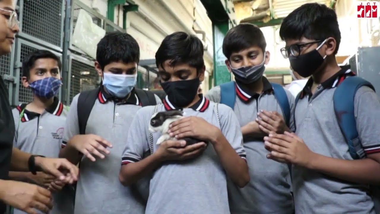 A Day with Gnanmandir Students at Jivdaya | Compassion | Jivdaya | Animal Welfare | NGO | Ahmedabad