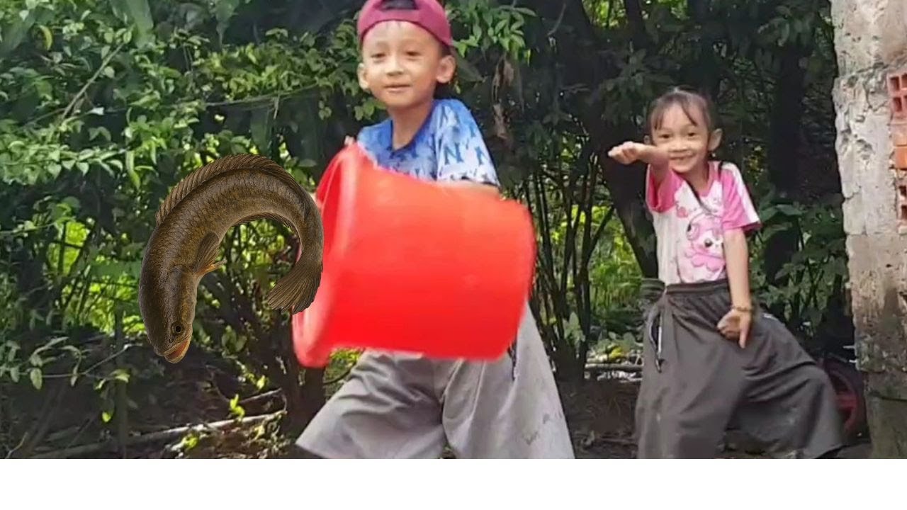 2 Bé Cùng Cha Đi Dở Lợp Cá Sau Nhà – Thật Thú Vị!