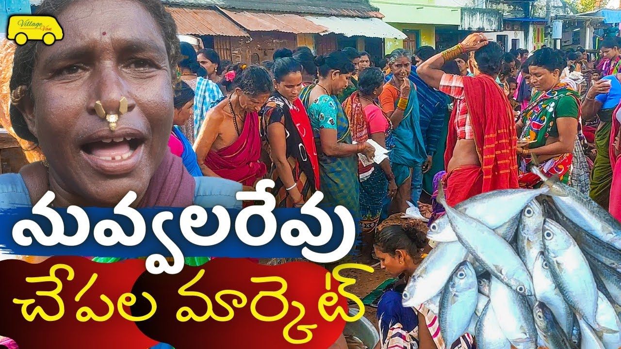 NUVVALA REVU Fish MARKET (నువ్వలరేవు చేపల మార్కెట్)