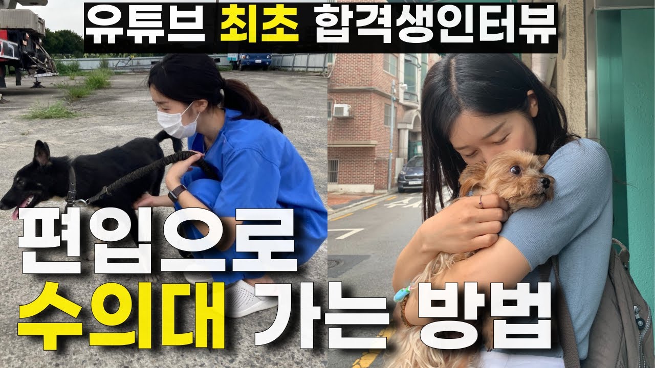 수의대편입 기초가이드 (학점? 토익? 공부기간?)