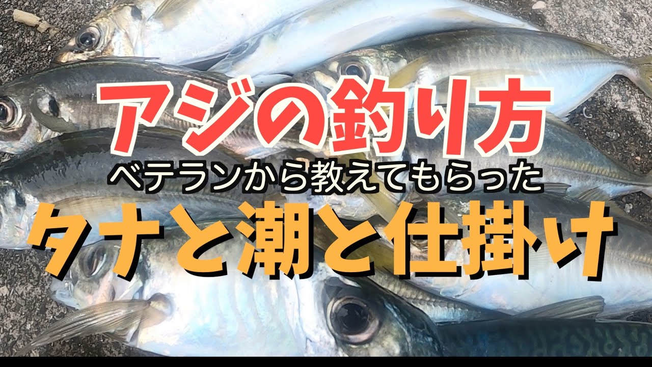 【遠投かご釣り】堤防からアジの釣り方！潮と仕掛けのバランスぴったり参考にどうぞ！