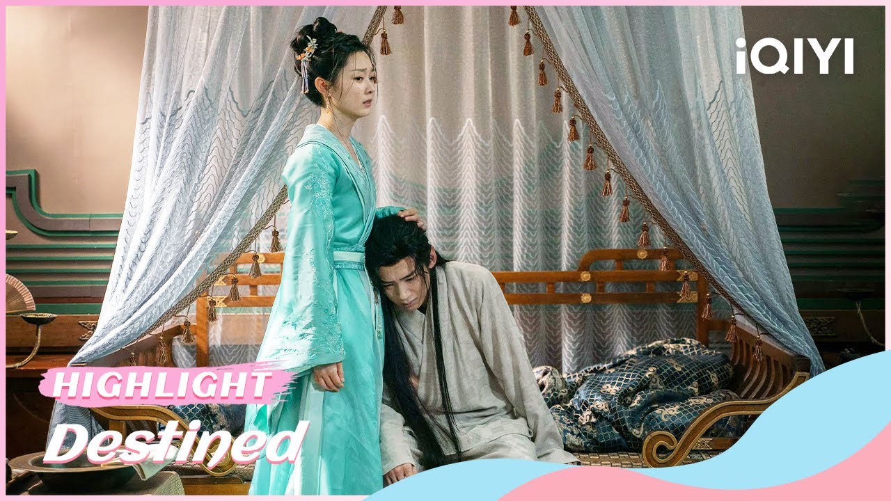 🎊Highlight EP16-20：Gu Jiusi and Liu Yuru are Frustrated | Destined | iQIYI Romance