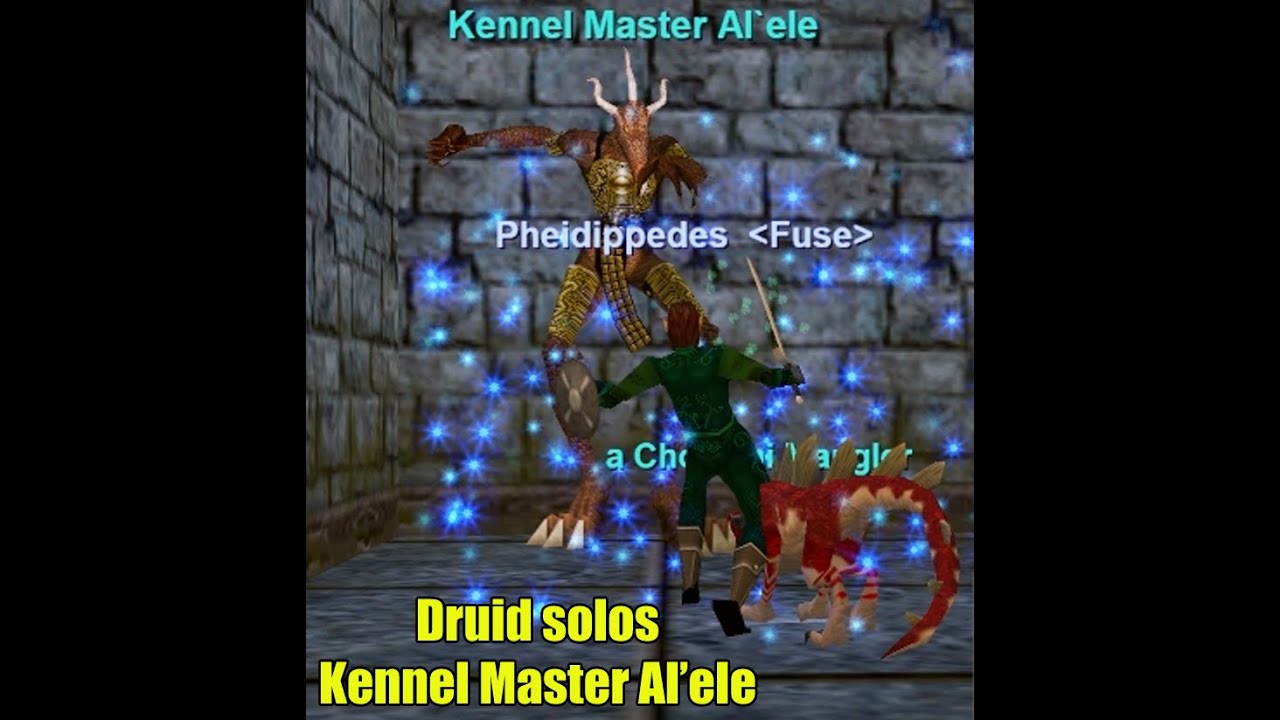 Druid Solos Kennel Master Al'ele, Chardok, P99 EverQuest