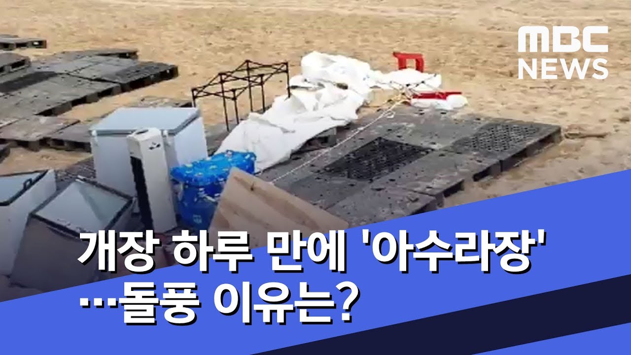 개장 하루 만에 '아수라장'&hellip;돌풍 이유는? (2019.07.09/뉴스투데이/MBC)