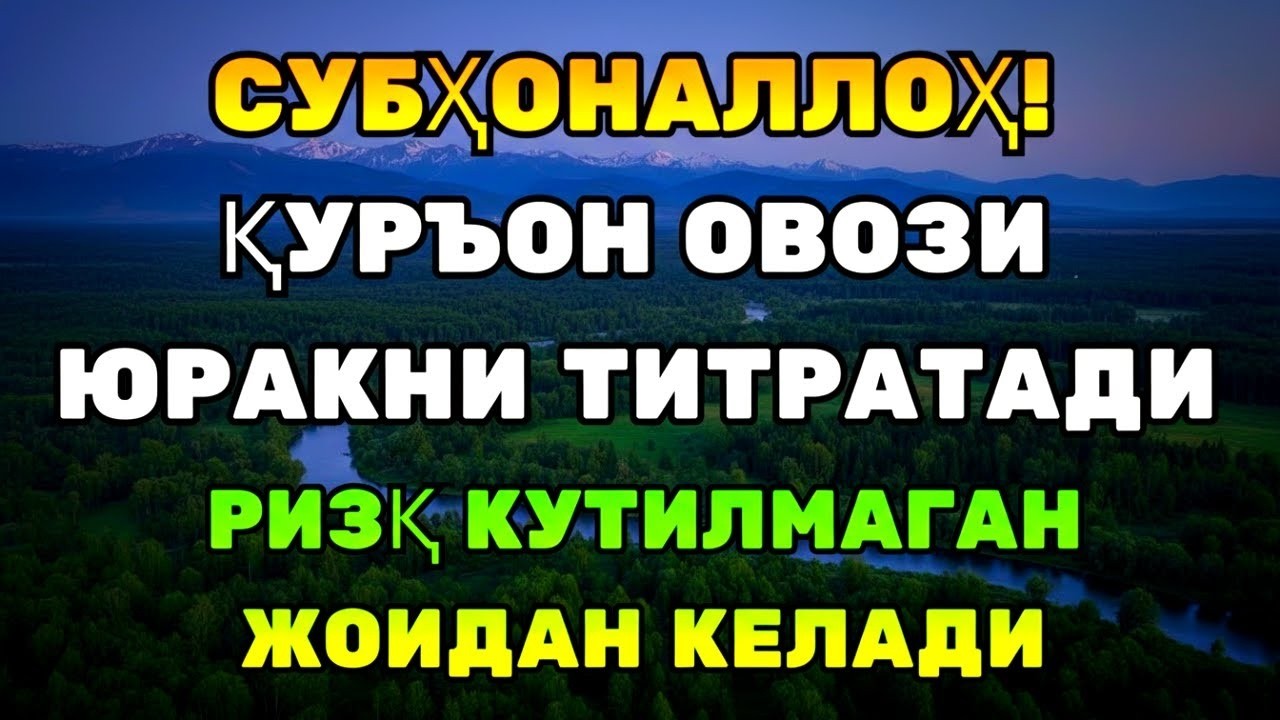 ВОЙ! ҚУРЪОН ОЯТЛАРИ ҚАЛБГА ТИНЧЛИК, ҲАЁТГА БАРАКА!