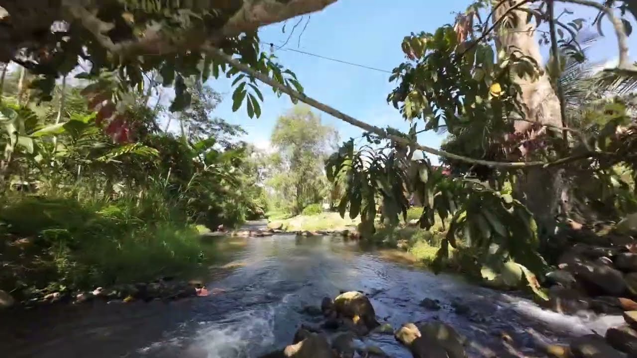 Janda Baik River - Featuring Yamaha PG-1 | DJI Avata 2