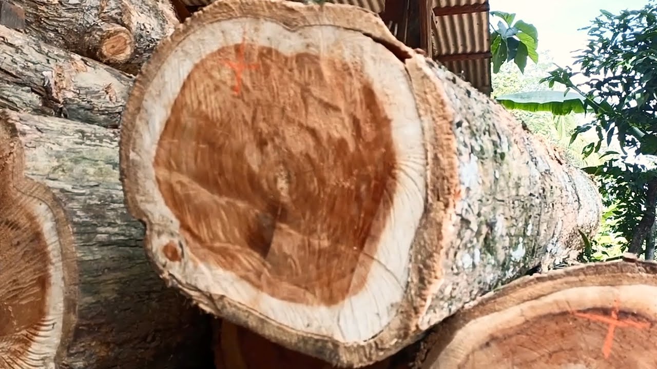 An invention that is not only clever, but also truly practical and beautiful || sawmill 