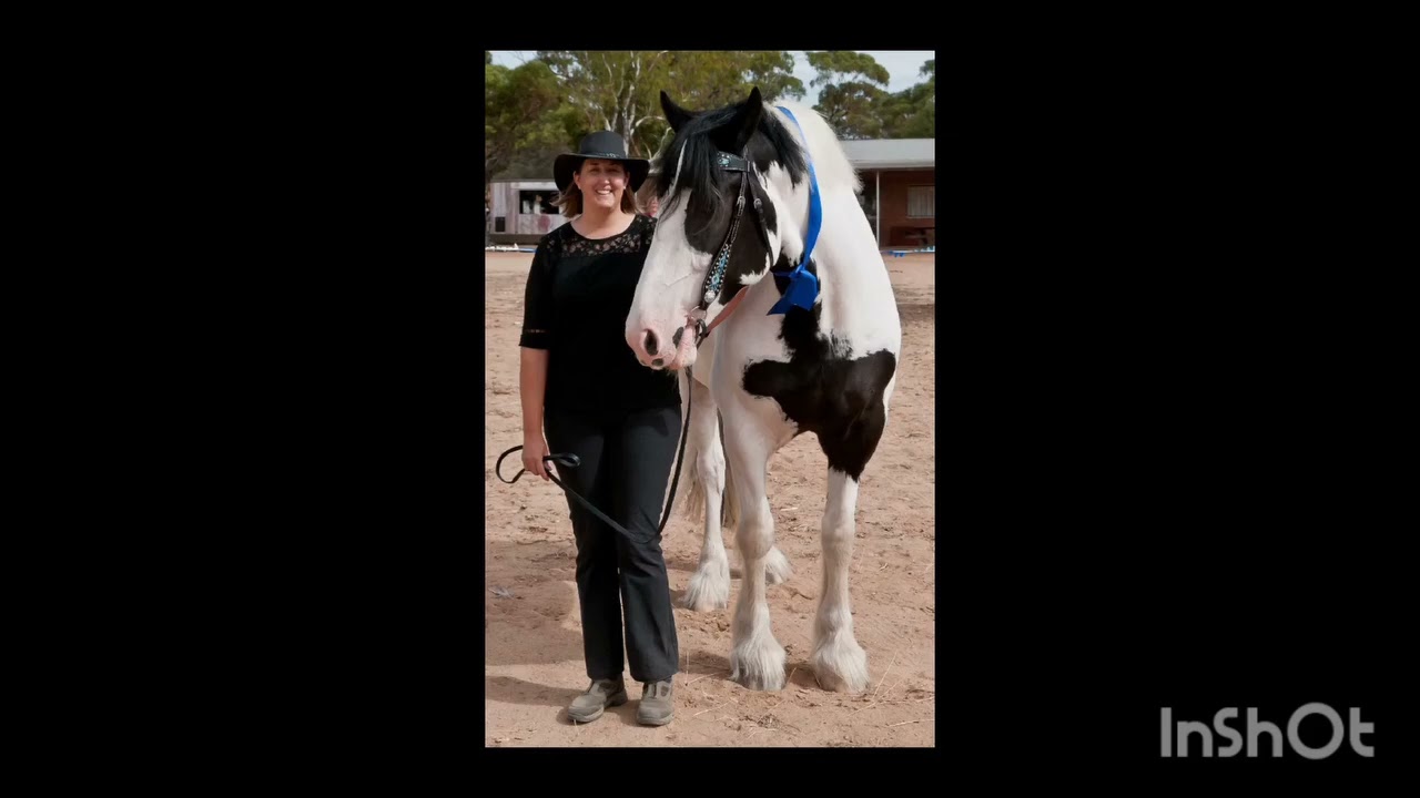 A Drum Horse like no other.  KENNY
