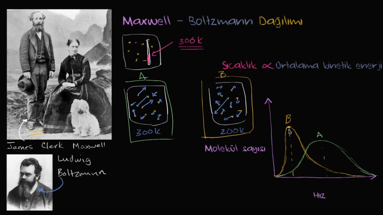 Maxwell-Boltzmann Dağılımı (Kimya) (Fizik / Termodinamik)