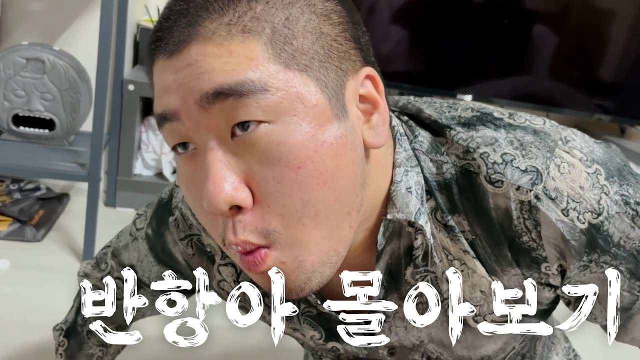 [어린이날 특집] 어린애들이 보고 배우면 안되는 반항아 모음집