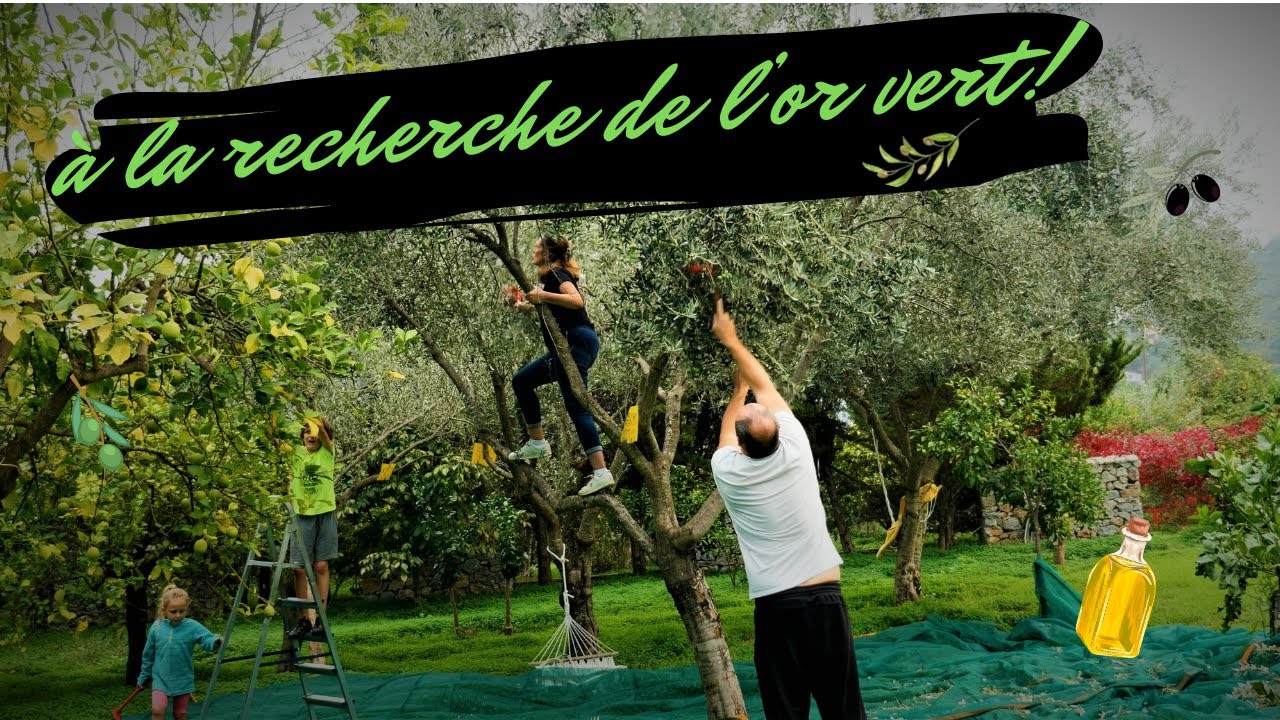 ep-18 On fait notre HUILE d’OLIVE dans le PELOPONNESE