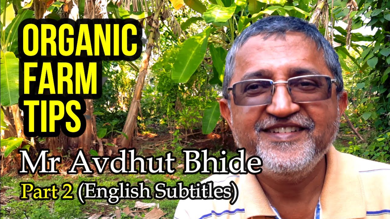Part 2 - Life on an Organic Permaculture Farm - Cool Story of Avdhut Bhide #agriculture #organicfarm