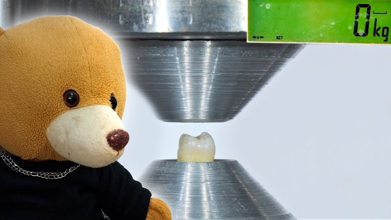 1 DENTE HUMANO VS PRENSA HIDR&Aacute;ULICA!