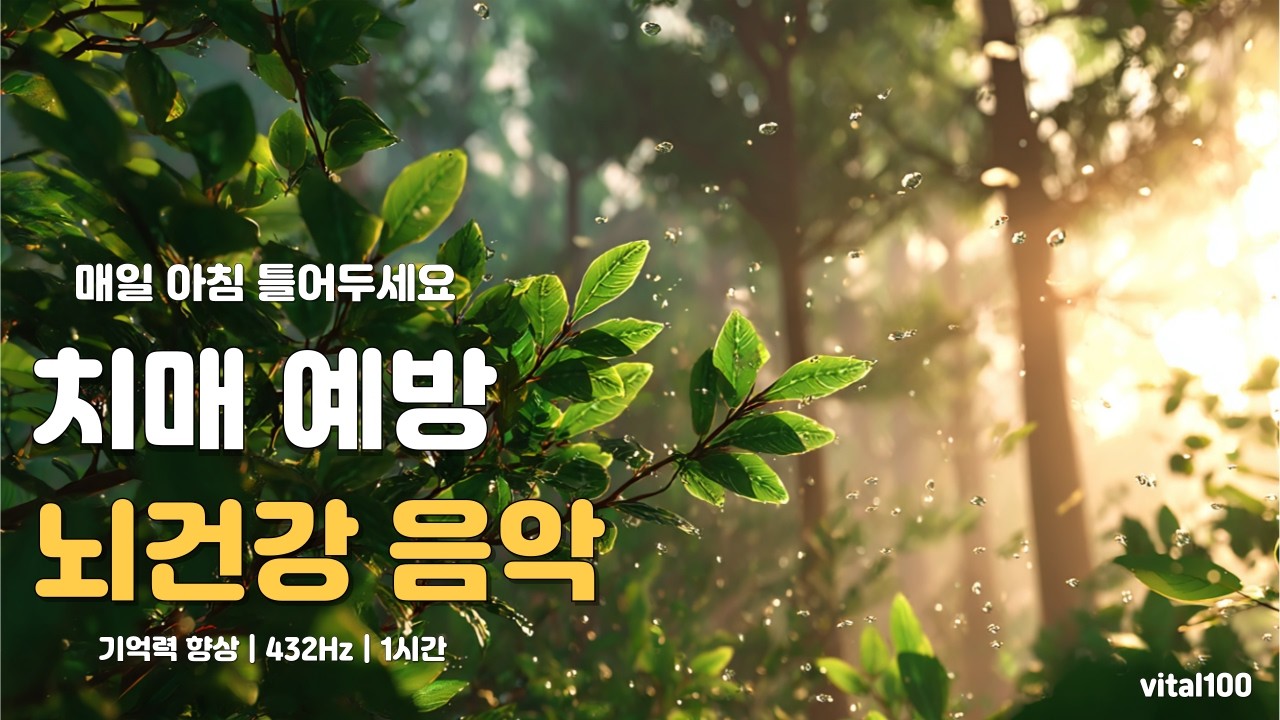 매일 아침 5분, 이 음악이 뇌를 바꿉니다 | 치매 예방 432Hz