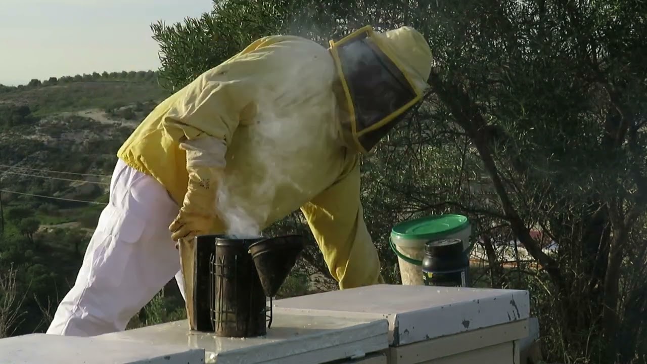 4&ordf; alimentaci&oacute;n 26 1 24 ‐ Encendemos el ahumador. Comprobamos  laminas de cera. Marcamos una reina