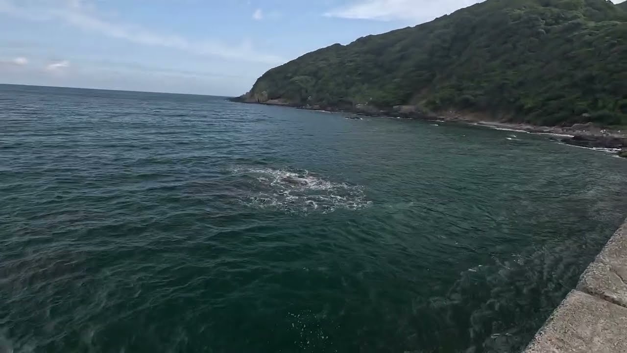 2024年 9月28日  糸島市 野北漁港 釣り　メジナ　バリ　ウスバハギ