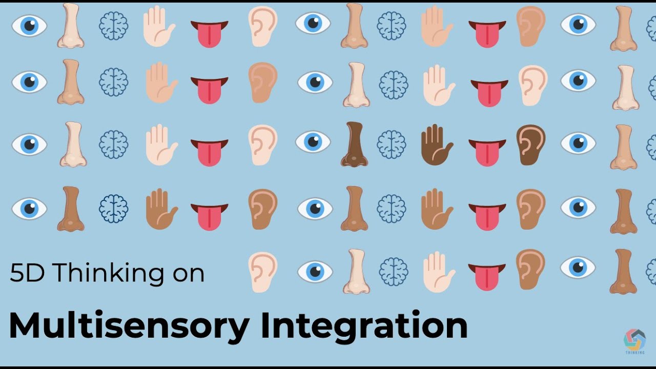 5D Thinking on Multi-sensory Integration