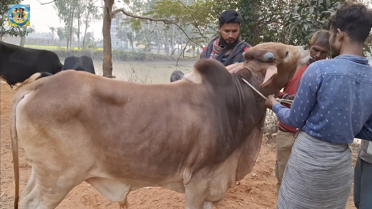 @ আজ ২৭ জানু
