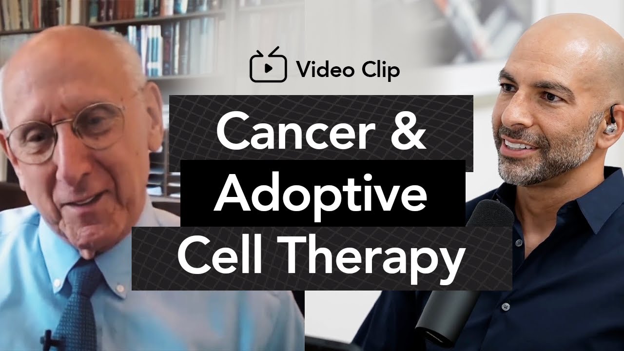 The promise of adoptive cell therapy  | Peter Attia, M.D. & Steven Rosenberg, M.D., Ph.D.