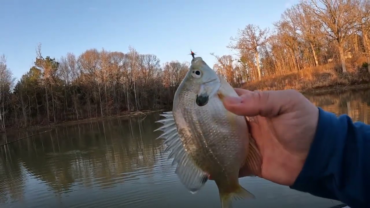 Fly Fishing on Christmas!