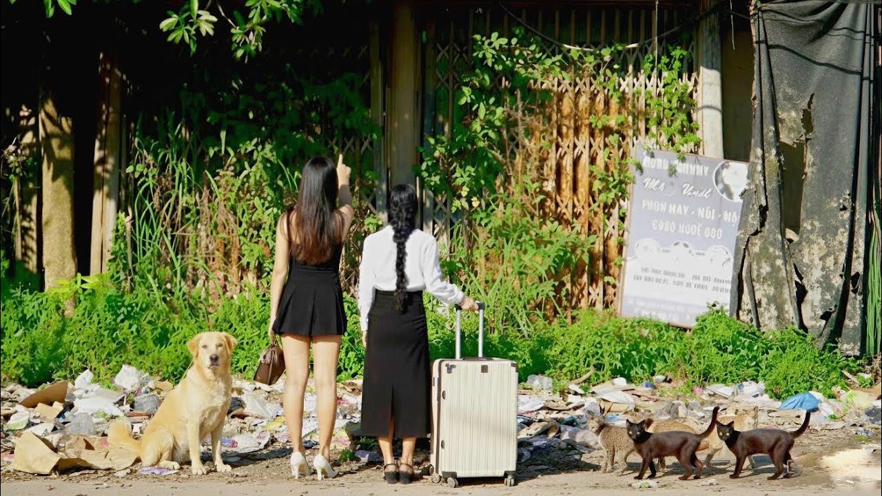 Two Girls Spend $800 to Restore an Old House That Their Parents Abandoned for Years