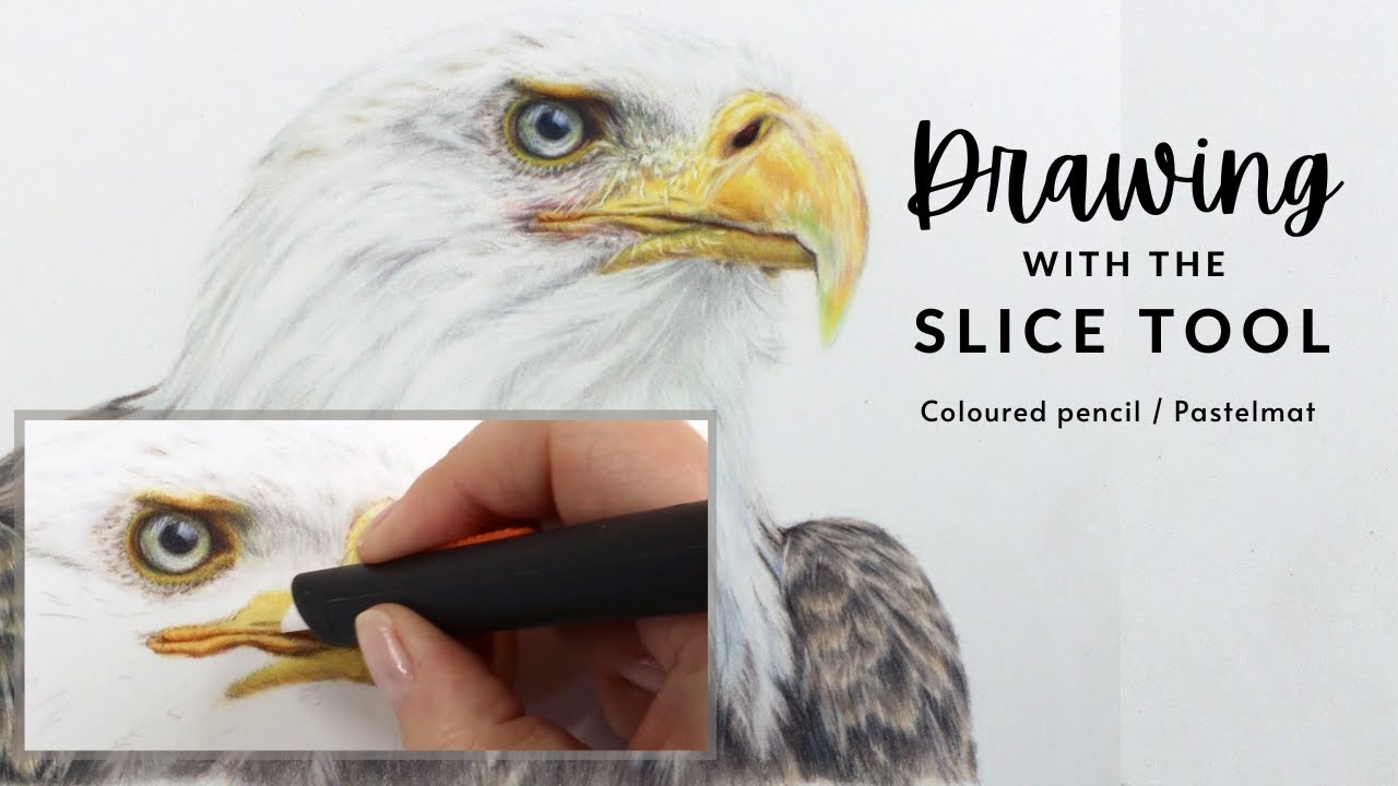 Adding Texture into a Colored Pencil Drawing - Bird's Beak | Slice Tool - Beginner friendly