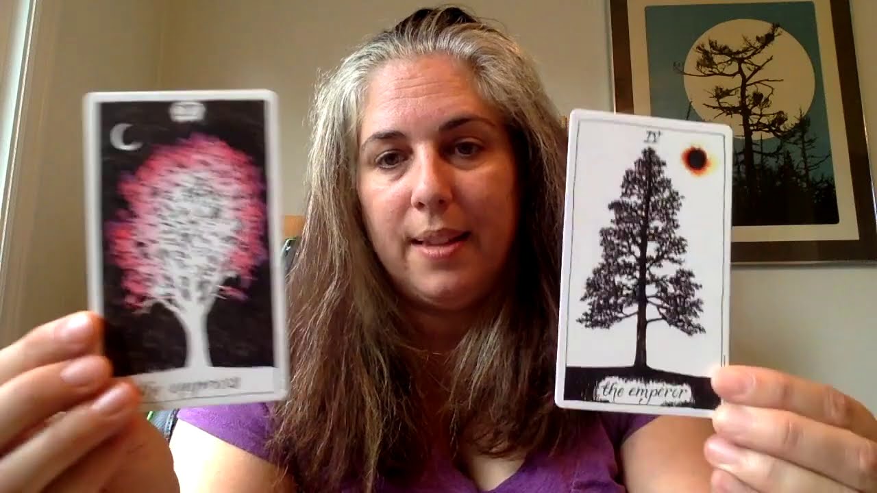 A (friendly!) response to Pappa Squirrel's video: 