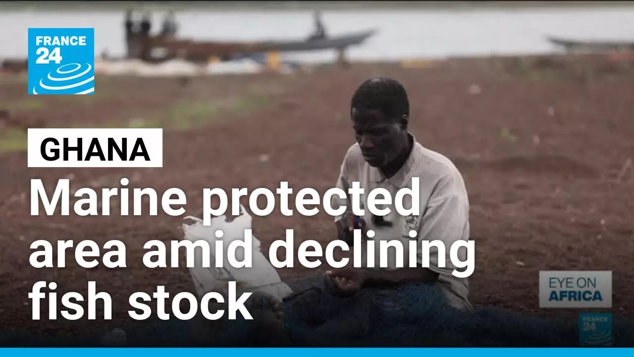 Ghana declares marine protected area amid declining fish stock &bull; FRANCE 24 English