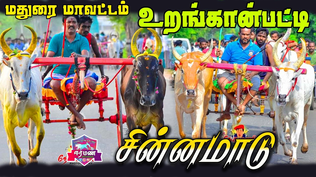 🔴LIVE(நேரலை) | உறங்கான்பட்டி      | மதுரை மாவட்டம் | சின்ன மாடு   | பந்தயம்
