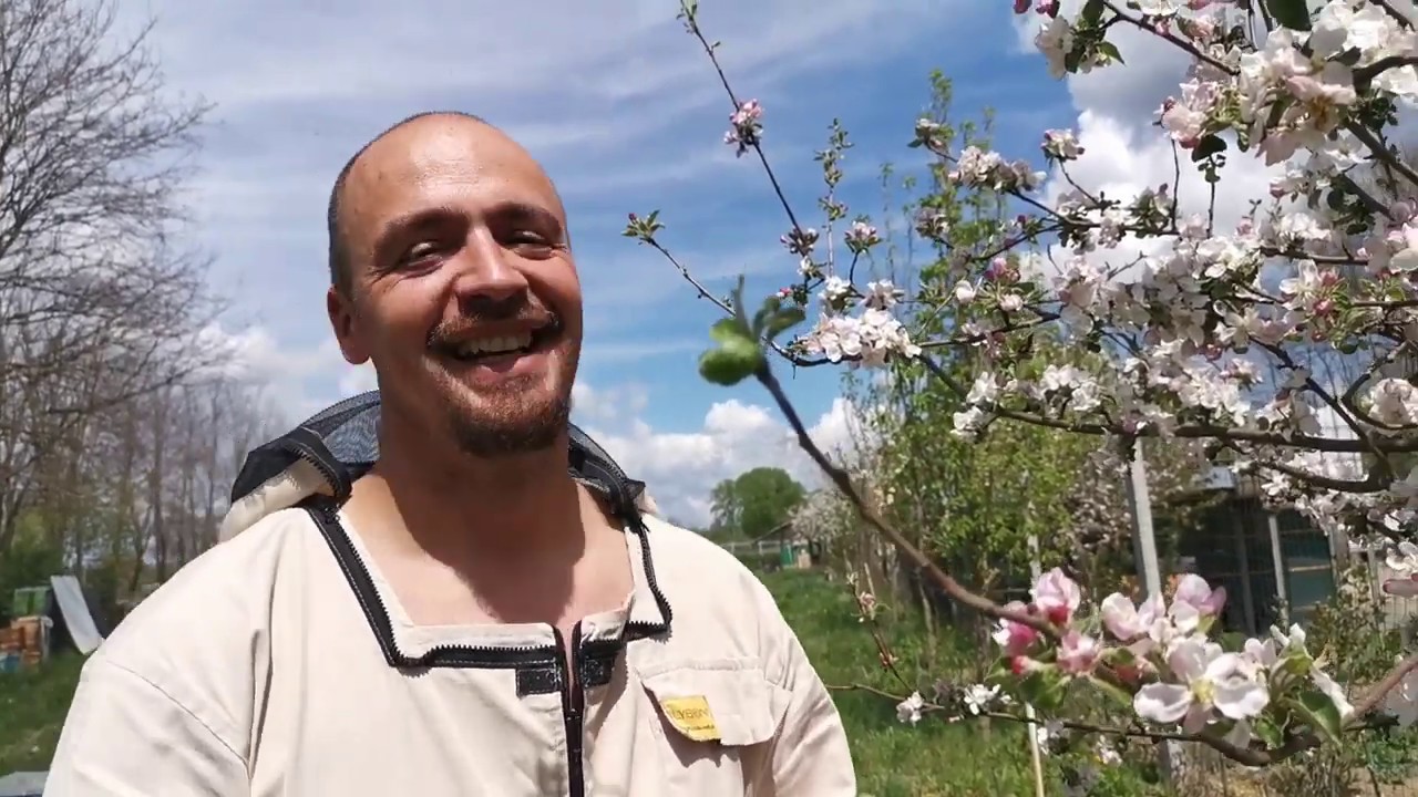 Cum se colectează POLENUL? | Ce fac albinele, ce face omul? | cu Marius de la Povestea Mierii
