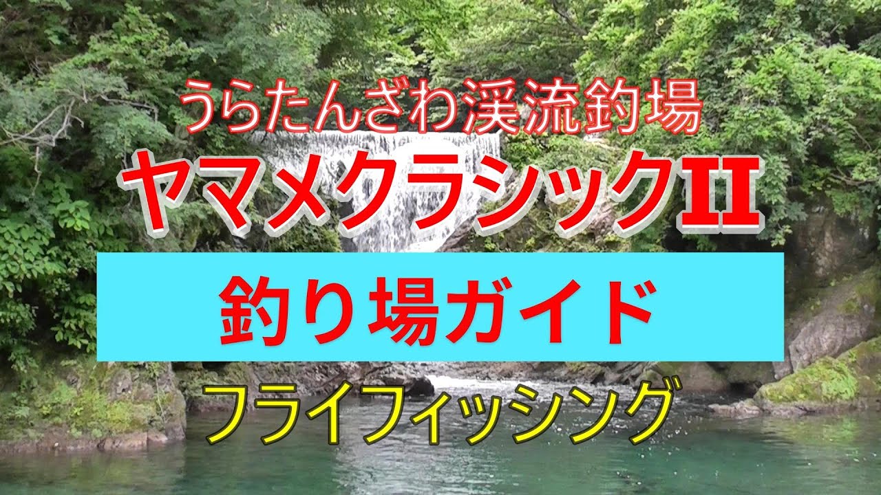 【フライフィッシング】うらたんざわ渓流釣場　ヤマメクラシックⅡ