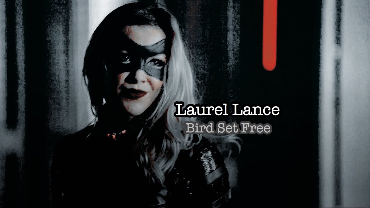 Laurel Lance | Bird Set Free