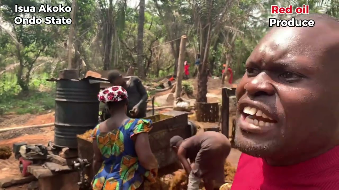 Isua Red oil