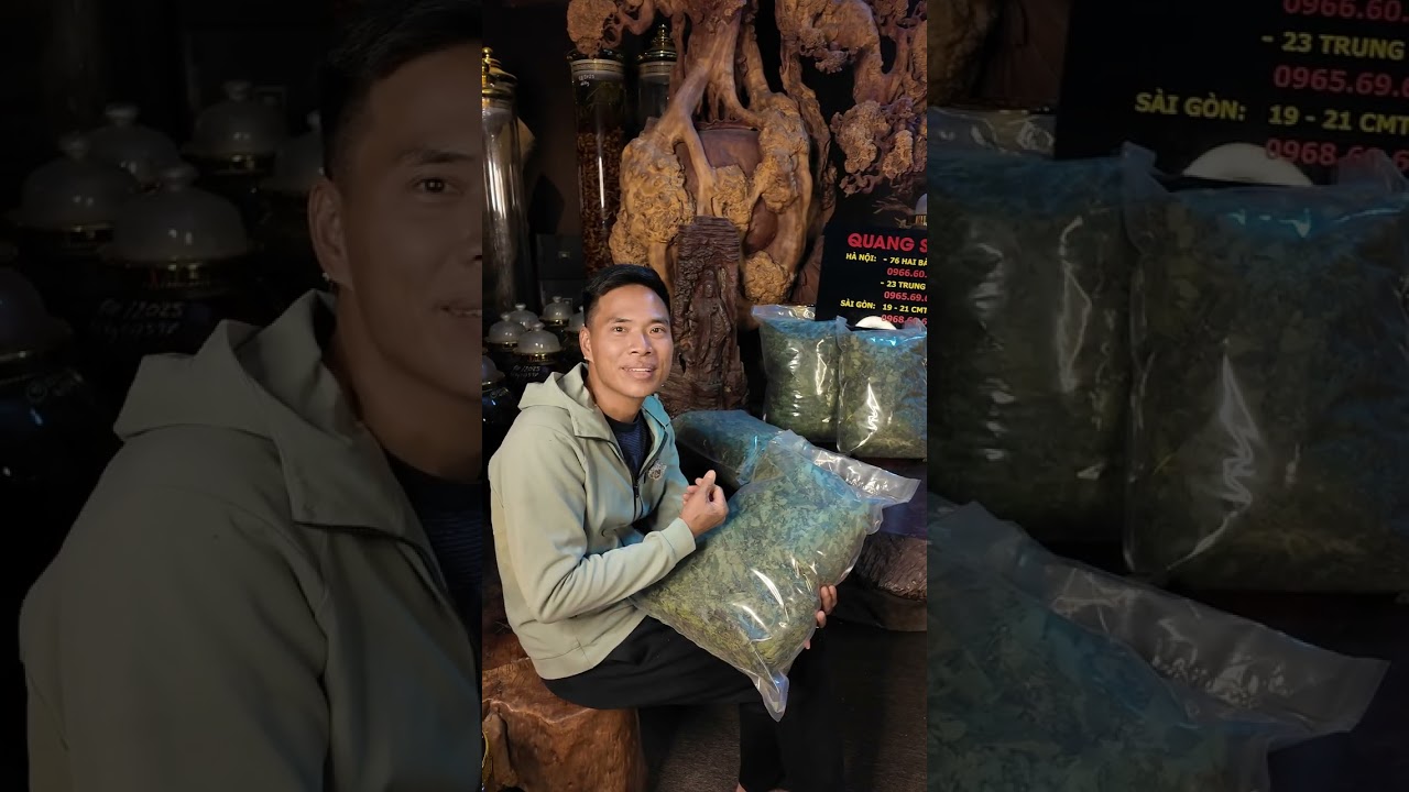 Lá sâm khô có tốt không? Giá bao nhiêu 1kg? Cách dùng như nào cho hiệu quả?