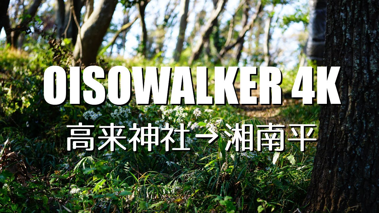 oisowalker | 大磯町ハイキングコース 高来神社～湘南平 2020 spring [4K]