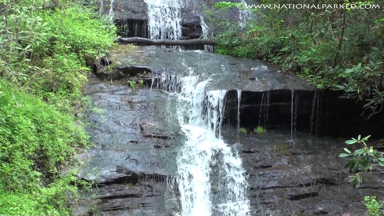 Tom Branch Falls in Great Smoky Mountains National Park (1080p)