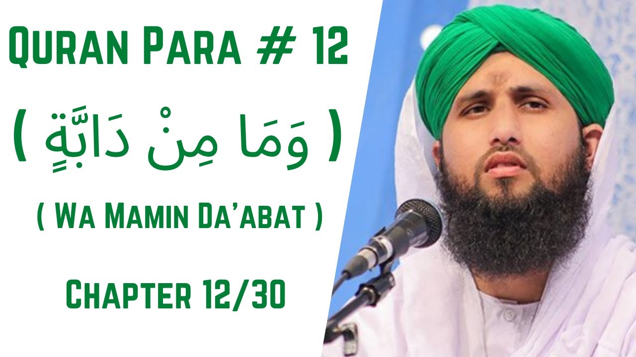 Quran Para 12/30 - Wa Mamin Da'abat | قرآن پارا 12 - وَمَا مِنْ دَابَّةٍ | Qari Asad Attari Voice