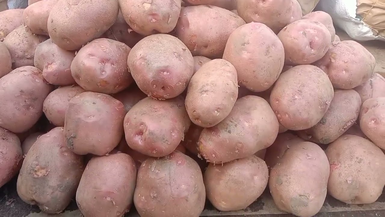 #جولة جديدة في سوق العبور و بلح #رمضان 