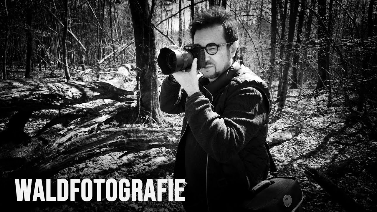 Mein Vorgehen und Tipps bei Schwarz-Weiß-Waldfotografie.