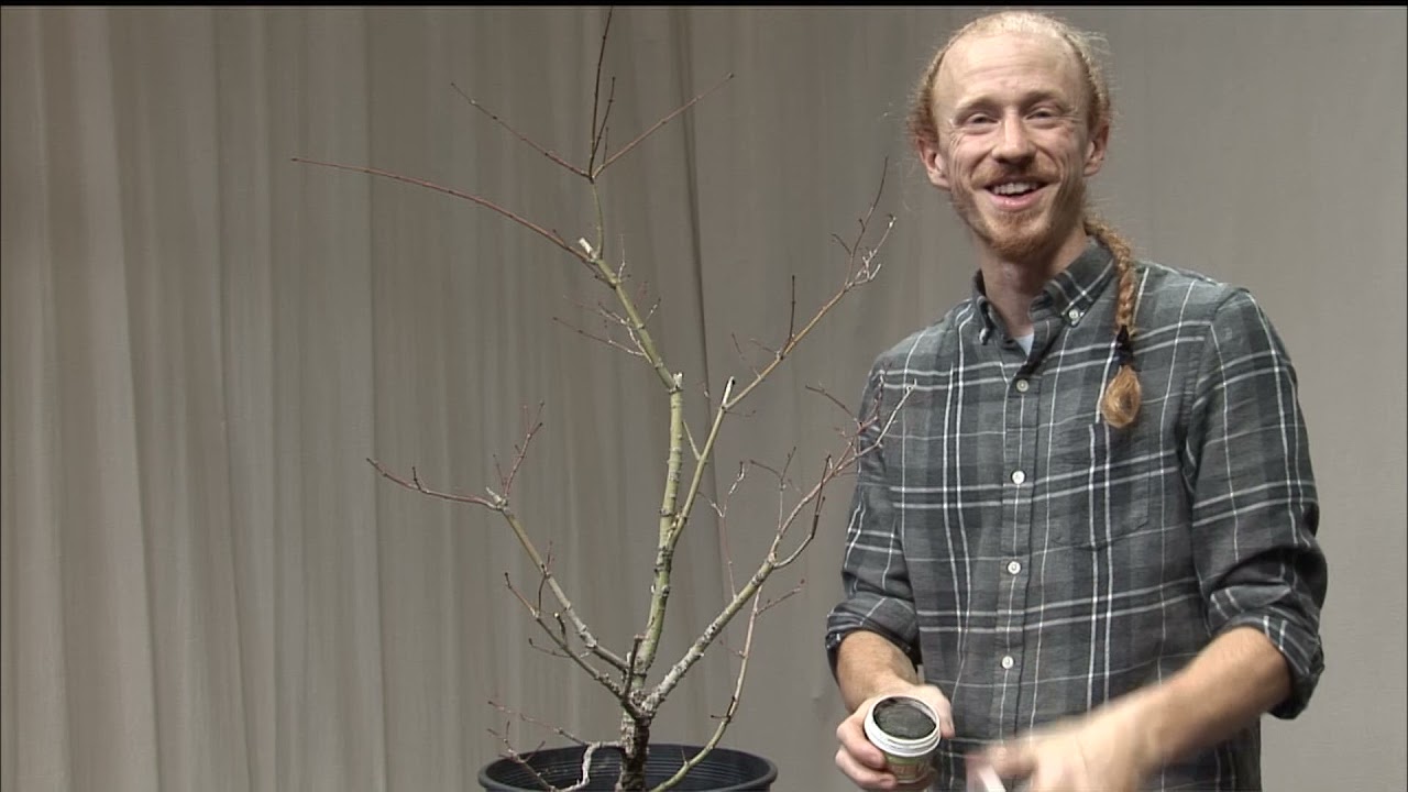 ABS Demo - Brandon Baldauf - Acer Arakawa - Ebihara Technique