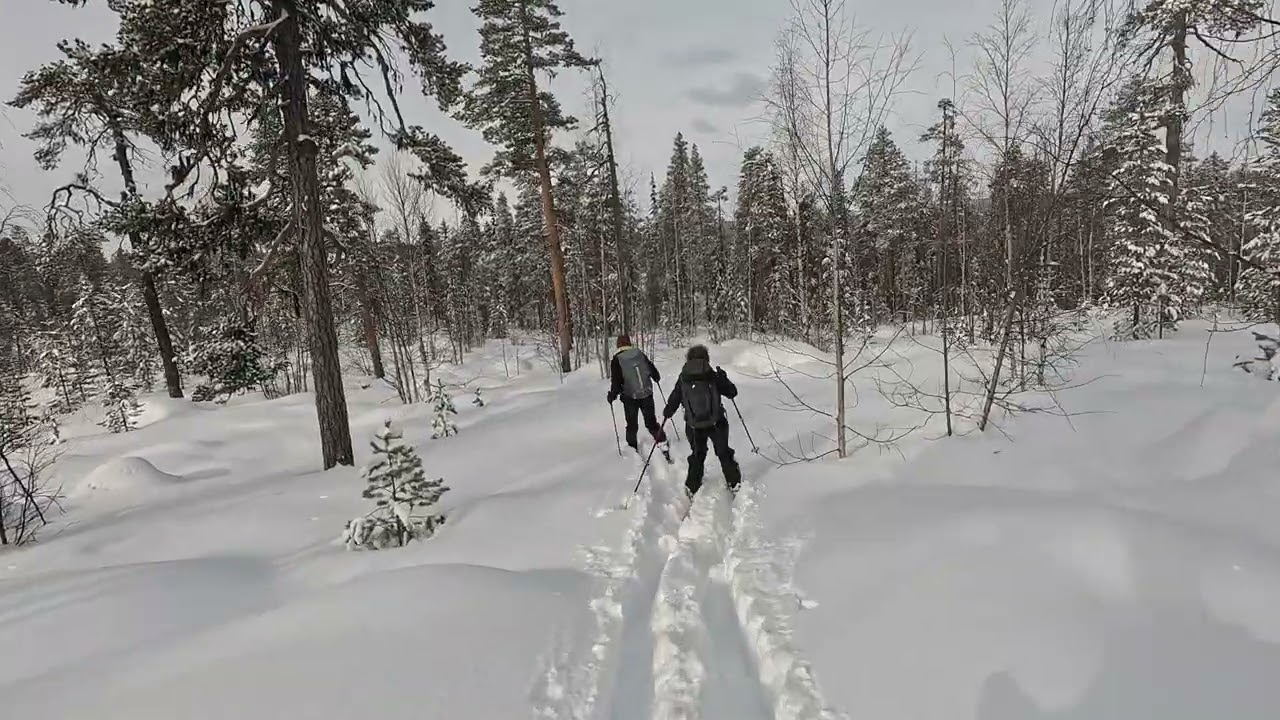Ski de randonnée nordique autour de Jokkmokk (Suède)