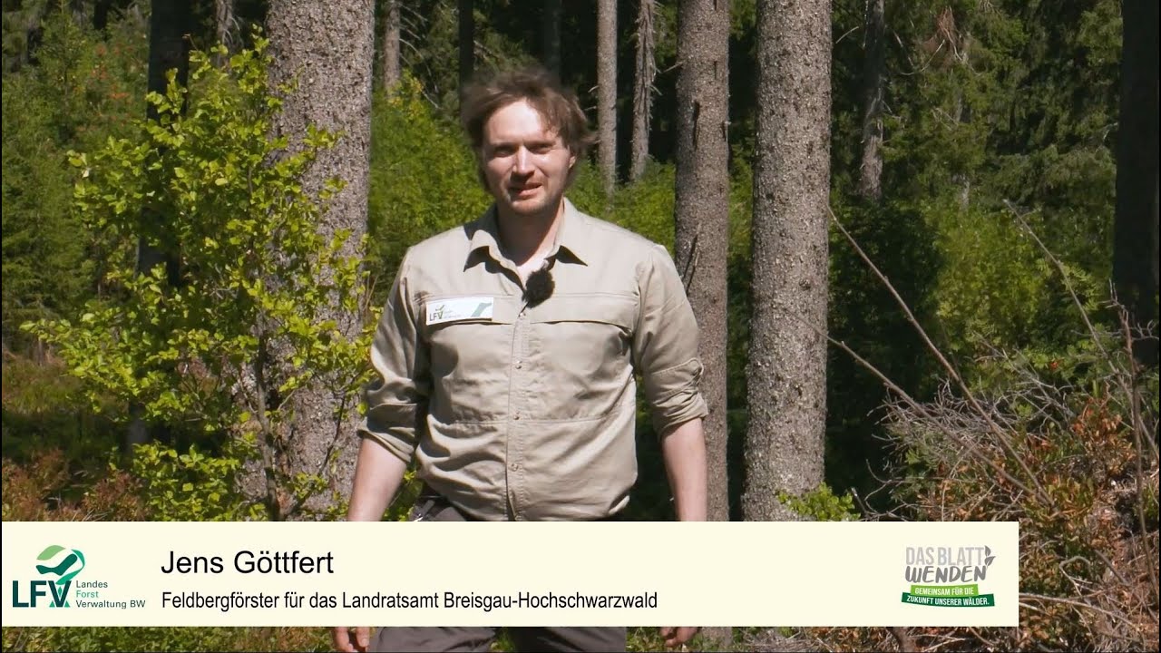 Engagement für den Wald: Biotoppflege Auerhuhn