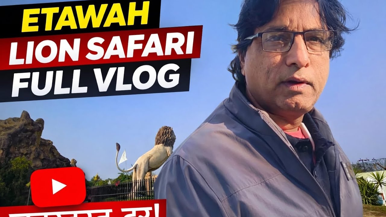 Lion safari etawah#trending #viral #lion #vuralvideo 
