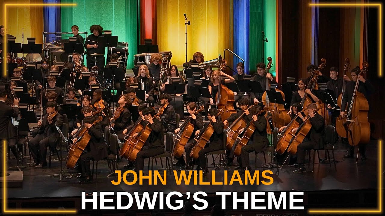 Hedwig's Theme from Harry Potter - Young Artists Orchestra of Las Vegas - Yunior Lopez, conductor