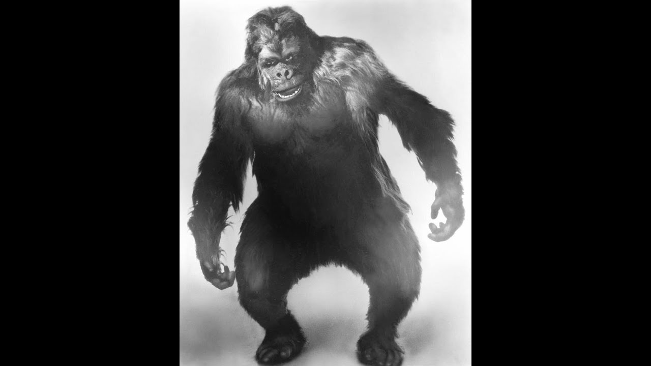 Ape Suit Cinema