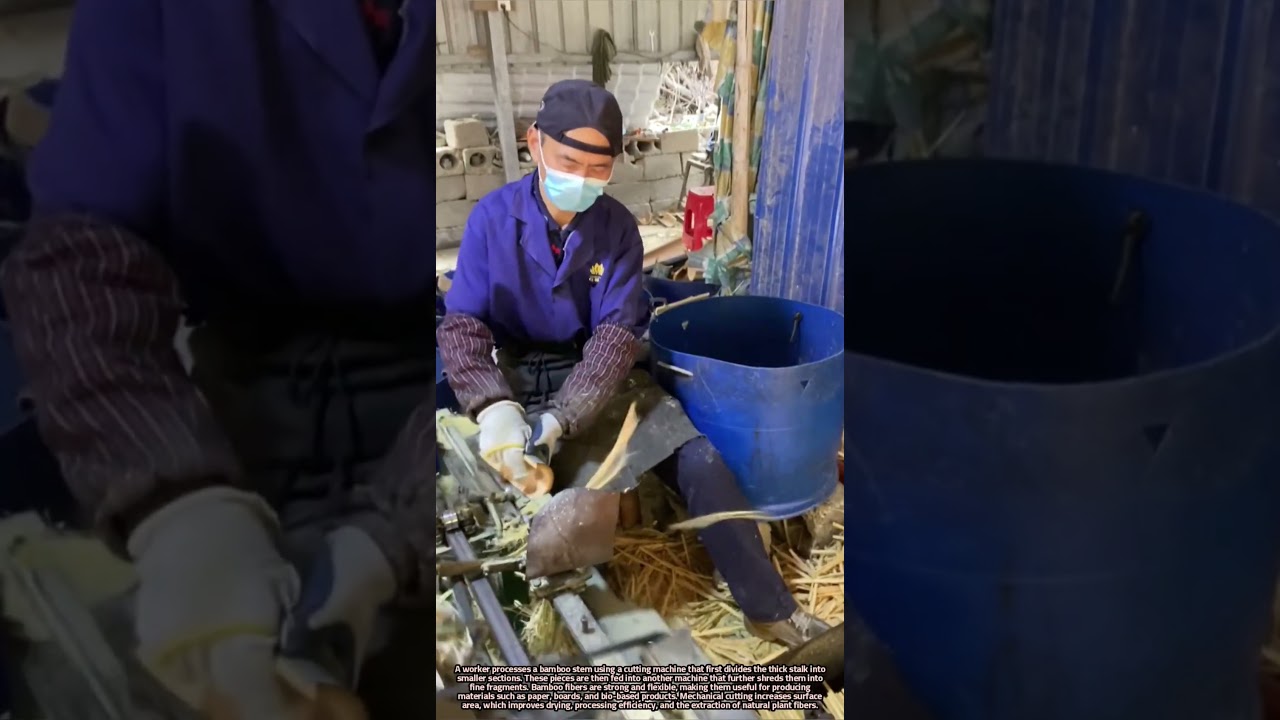 Mechanical Processing of Bamboo Stems into Small Fiber Pieces