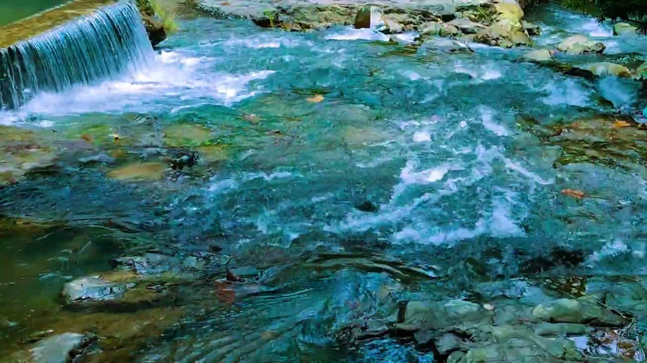 Nature Therapy River Sounds for Mental Calm