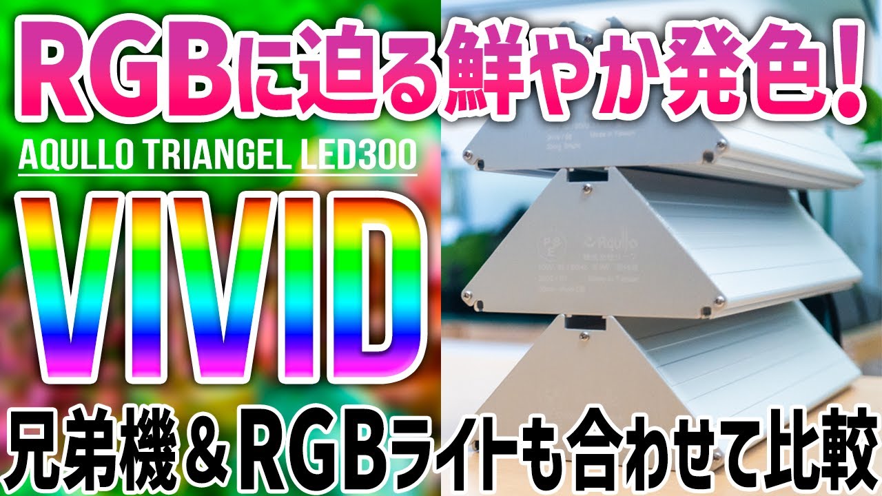 【最強コスパLED】アクロトライアングルVIVID購入！グローとブライトそしてRGBライトとの見え方＆明るさを比較レビュー！ #アクアリウム #水草水槽 【ビバアクア】